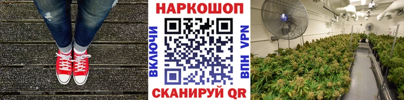 Как найти наркотики Гусев COCAIN  Бутират  Alpha PVP  ГАШИШ  Меф мяу мяу 