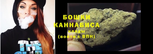 ГАЛЛЮЦИНОГЕННЫЕ ГРИБЫ Бородино