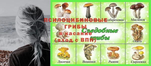 ПСИЛОЦИБИНОВЫЕ ГРИБЫ Бугульма