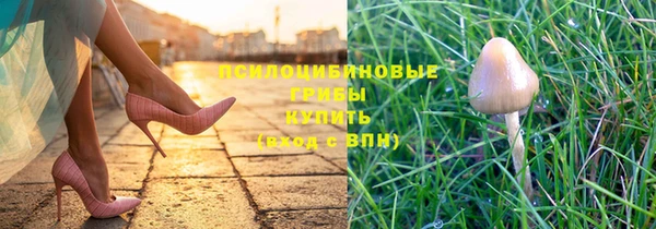 jwh Богородицк