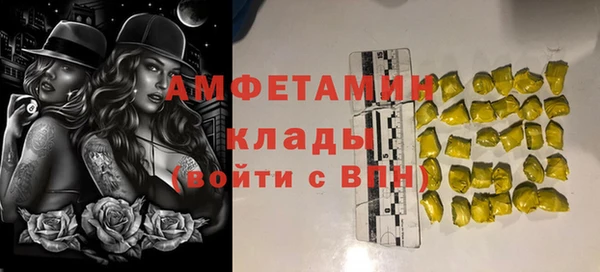 ГАЛЛЮЦИНОГЕННЫЕ ГРИБЫ Бородино