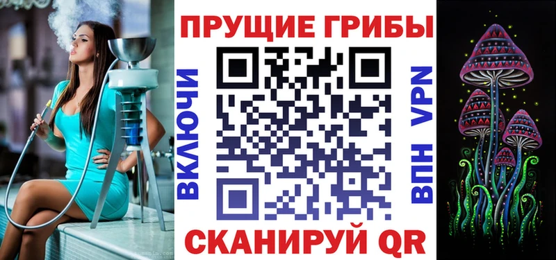 Псилоцибиновые грибы GOLDEN TEACHER  Гусев 