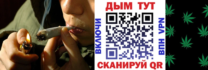 хочу наркоту Гусев Шишки марихуана Amnesia